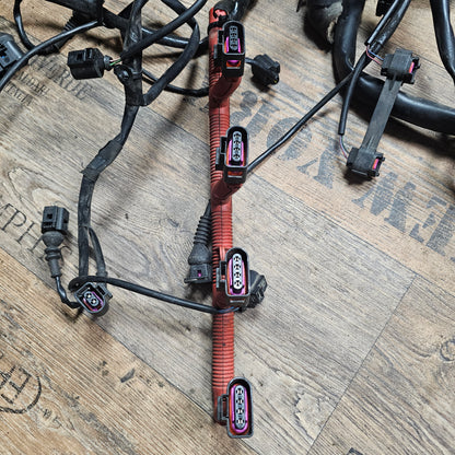 Motorkabelbaum / Kabelbaum Motor Audi A4 B6 2.4 V6 BDV Automatik 8E1 971 072 LR - gebraucht