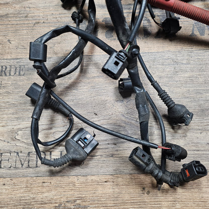 Motorkabelbaum / Kabelbaum Motor Audi A4 B6 2.4 V6 BDV Automatik 8E1 971 072 LR - gebraucht