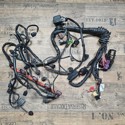 Motorkabelbaum / Kabelbaum Motor Audi A4 B6 2.4 V6 BDV Automatik 8E1 971 072 LR - gebraucht